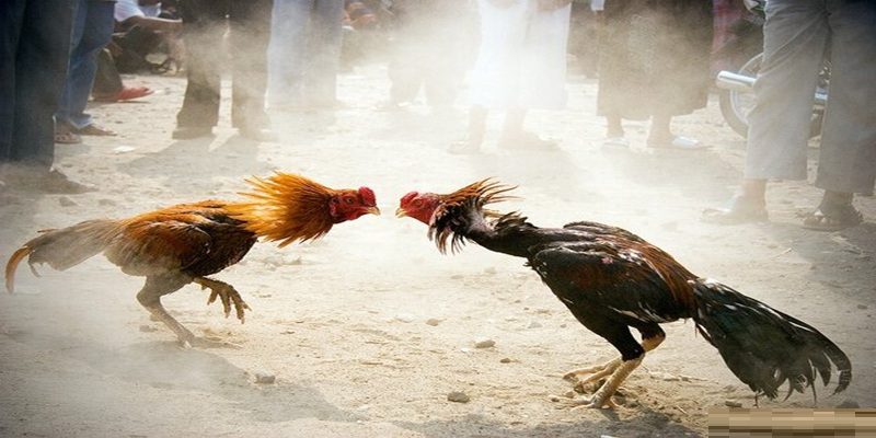 Lưu giữ huyết thống kỹ thuật số giúp xây dựng cộng đồng người chơi văn minh
