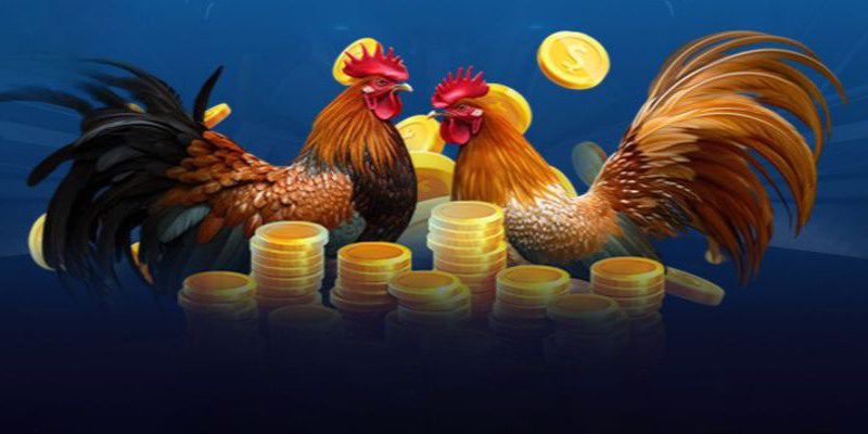 Đá gà CF789: Trải nghiệm cá cược cùng đòn đấu đỉnh cao